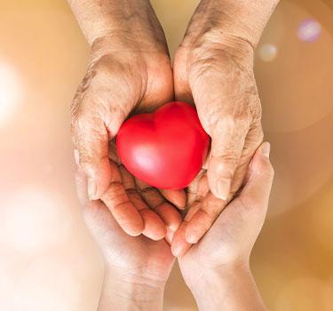 A small child’s hands under their grandparent’s hands holding a heart together with compassion.