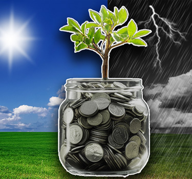 money in a jar with a tree growing from inside, and sunshine on one side with a storm on the other side