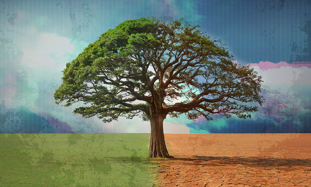A lone tree stands at the intersection of lush grass and arid earth beneath a surreal sky, symbolizing the transition from traditional pensions to 401(k) plans in the evolving retirement landscape.