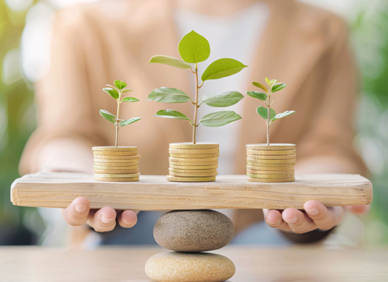 An individual holds a wooden balance featuring three coins and a plant, representing the equilibrium of wealth and sustainability.
