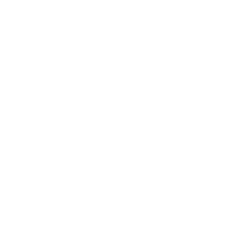 Fixed rate annuity icon