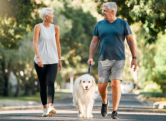 an elderly couple walking a dog together