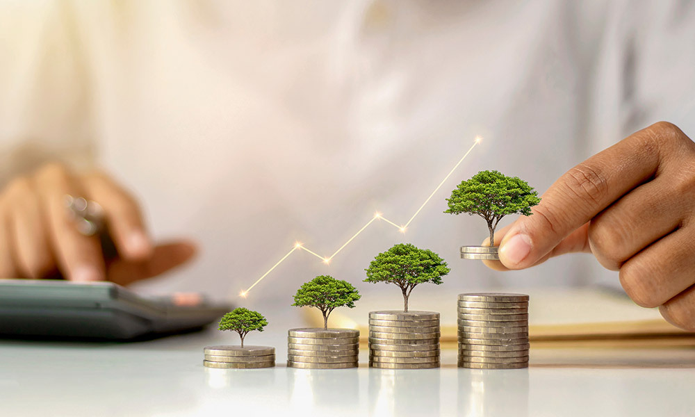 coins stacked in iteration showing growth with a small tree on top of each stack