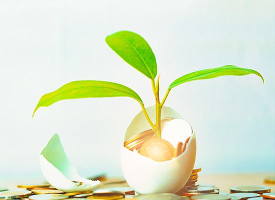 an open egg shell with money and a plant growing inside it