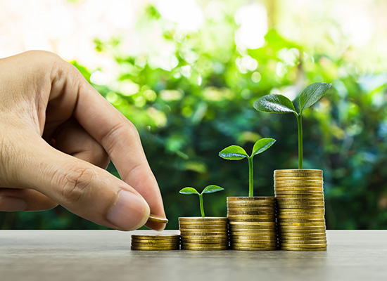 four stacks of ever taller coins with a larger and larger tree growing from each subsequent stacks