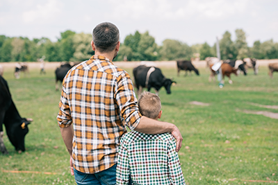 Father and son on family cow farm
