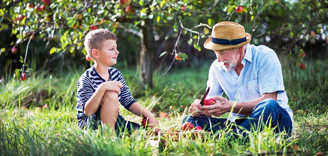 Man sitting in an apple orchid with with his grandson