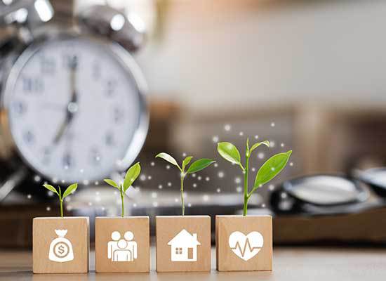 Growing your assets and estate