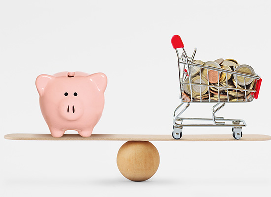 A pink piggy bank and a miniature shopping cart filled with coins balanced on opposite ends of a seesaw, centered on a wooden sphere, against a white background.
