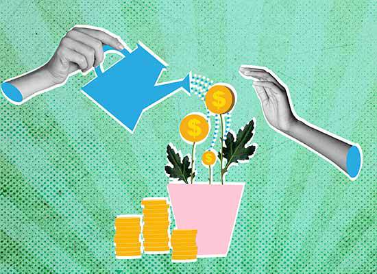 Growing your assets